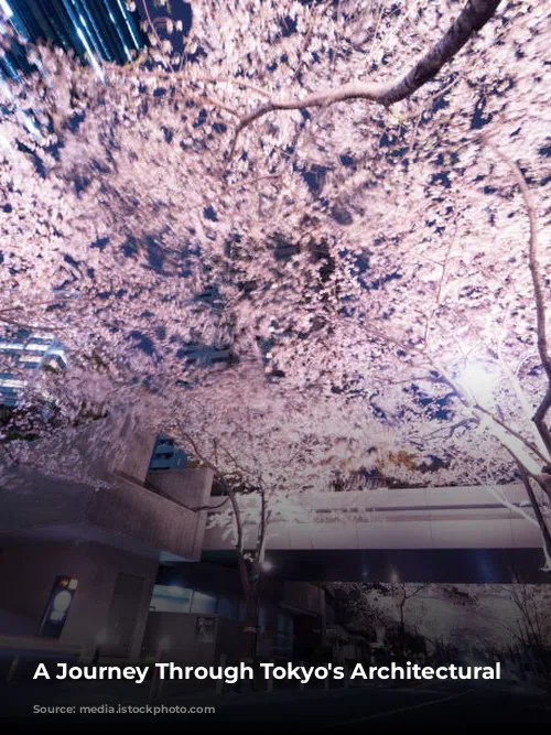 A Journey Through Tokyo's Architectural Tapestry