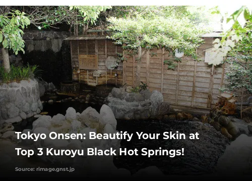 Tokyo Onsen: Beautify Your Skin at Tokyo's Top 3 Kuroyu Black Hot Springs!