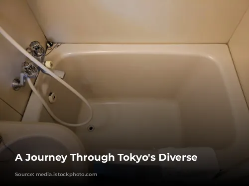 A Journey Through Tokyo's Diverse Hostels