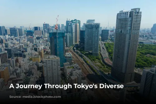 A Journey Through Tokyo's Diverse Hostels