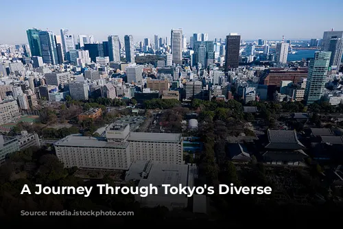 A Journey Through Tokyo's Diverse Hostels