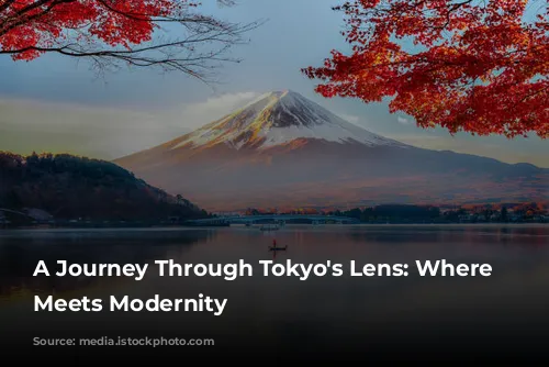 A Journey Through Tokyo's Lens: Where Tradition Meets Modernity