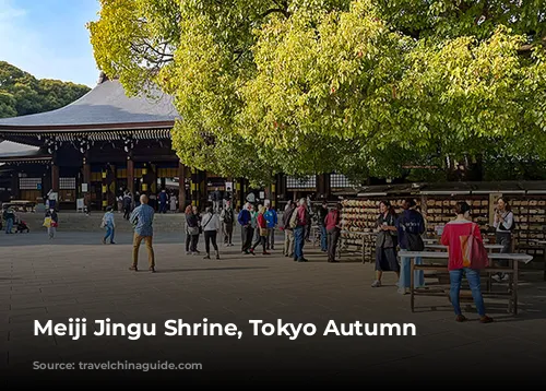 Meiji Jingu Shrine, Tokyo Autumn