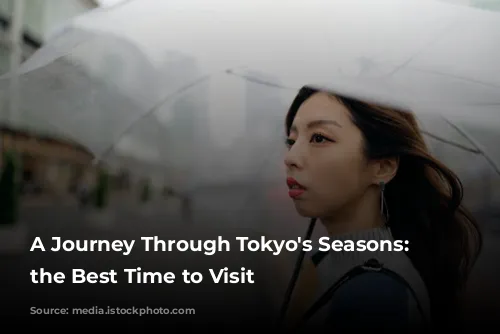 A Journey Through Tokyo's Seasons: Discover the Best Time to Visit