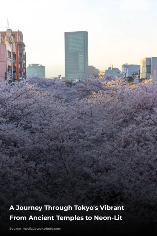 A Journey Through Tokyo's Vibrant Tapestry: From Ancient Temples to Neon-Lit Streets