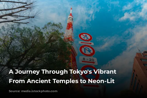 A Journey Through Tokyo's Vibrant Tapestry: From Ancient Temples to Neon-Lit Streets