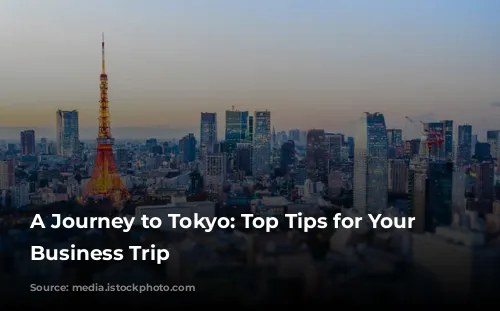 A Journey to Tokyo: Top Tips for Your First Business Trip