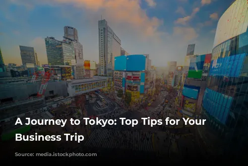 A Journey to Tokyo: Top Tips for Your First Business Trip