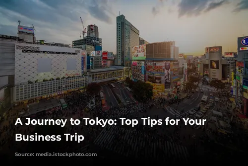 A Journey to Tokyo: Top Tips for Your First Business Trip