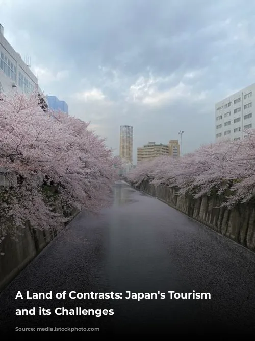 A Land of Contrasts: Japan's Tourism Boom and its Challenges