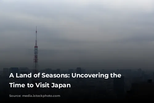 A Land of Seasons: Uncovering the Best Time to Visit Japan