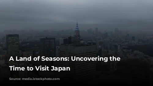 A Land of Seasons: Uncovering the Best Time to Visit Japan