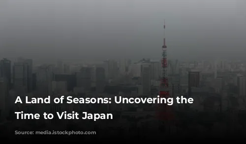 A Land of Seasons: Uncovering the Best Time to Visit Japan