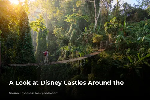 A Look at Disney Castles Around the World