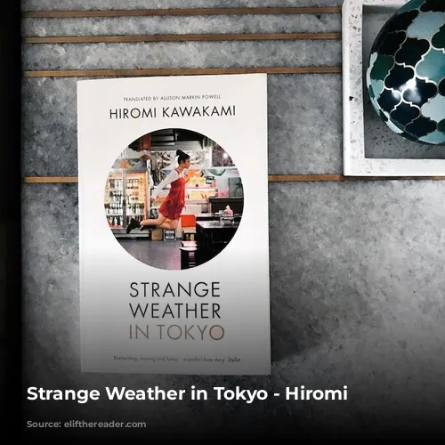 Strange Weather in Tokyo - Hiromi Kawakami