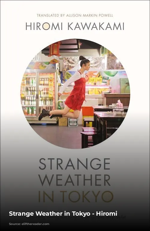 Strange Weather in Tokyo - Hiromi Kawakami