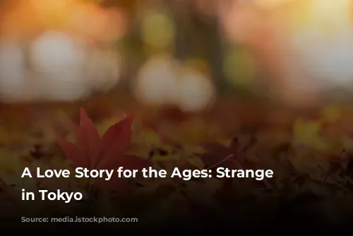 A Love Story for the Ages: Strange Weather in Tokyo