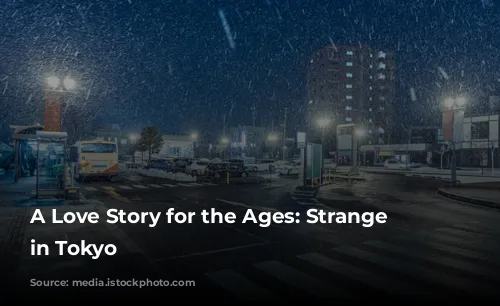 A Love Story for the Ages: Strange Weather in Tokyo