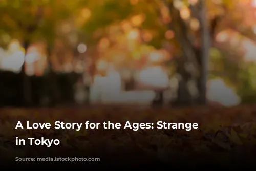 A Love Story for the Ages: Strange Weather in Tokyo