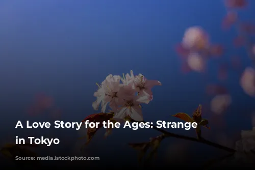 A Love Story for the Ages: Strange Weather in Tokyo