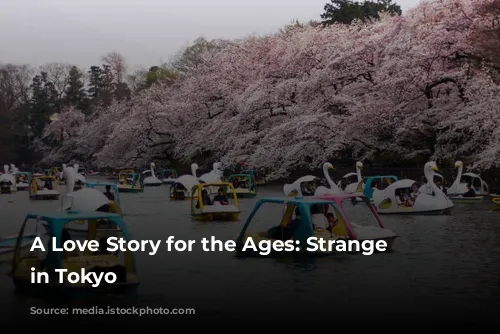 A Love Story for the Ages: Strange Weather in Tokyo