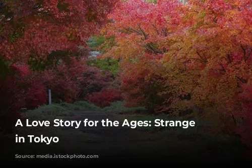 A Love Story for the Ages: Strange Weather in Tokyo