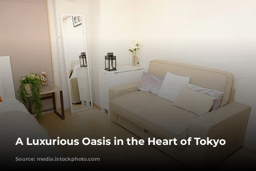 A Luxurious Oasis in the Heart of Tokyo