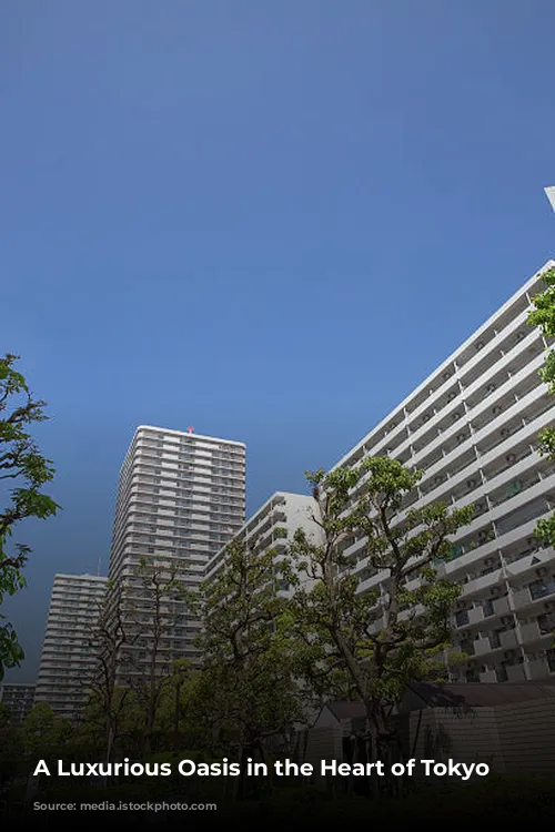 A Luxurious Oasis in the Heart of Tokyo