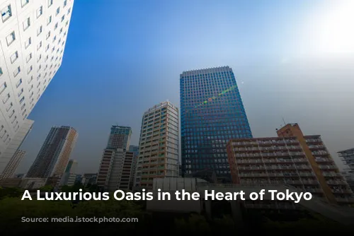 A Luxurious Oasis in the Heart of Tokyo