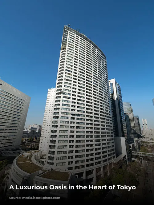 A Luxurious Oasis in the Heart of Tokyo