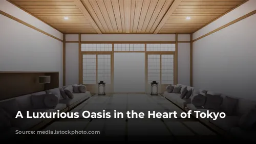 A Luxurious Oasis in the Heart of Tokyo