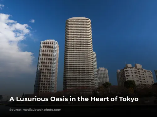 A Luxurious Oasis in the Heart of Tokyo