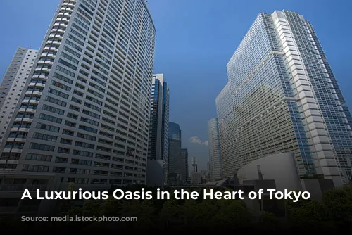 A Luxurious Oasis in the Heart of Tokyo