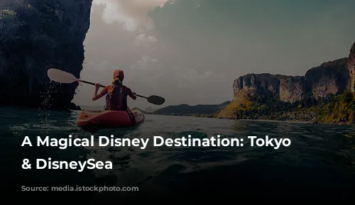 A Magical Disney Destination: Tokyo Disneyland & DisneySea