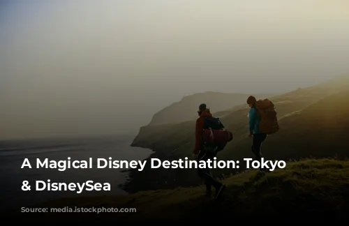 A Magical Disney Destination: Tokyo Disneyland & DisneySea