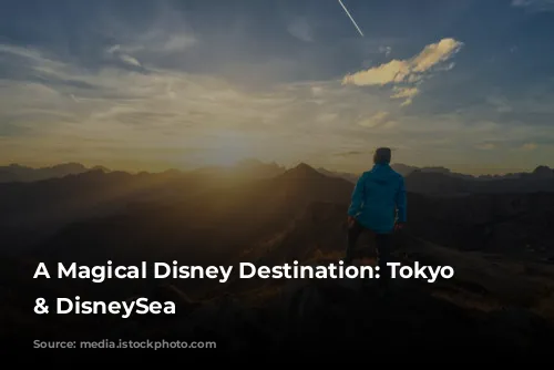 A Magical Disney Destination: Tokyo Disneyland & DisneySea