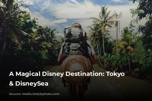 A Magical Disney Destination: Tokyo Disneyland & DisneySea