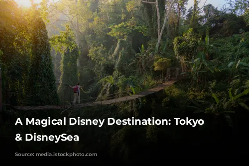 A Magical Disney Destination: Tokyo Disneyland & DisneySea