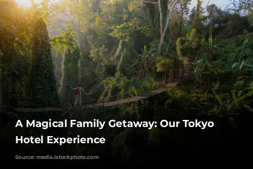 A Magical Family Getaway: Our Tokyo Disneyland Hotel Experience