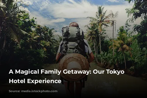 A Magical Family Getaway: Our Tokyo Disneyland Hotel Experience