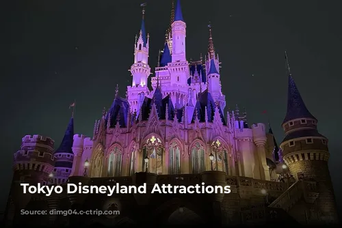 Tokyo Disneyland Attractions