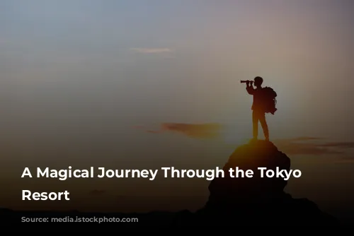 A Magical Journey Through the Tokyo Disney Resort