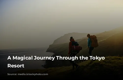 A Magical Journey Through the Tokyo Disney Resort