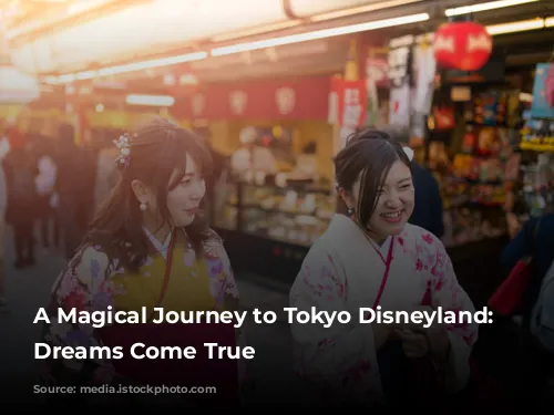 A Magical Journey to Tokyo Disneyland: Where Dreams Come True