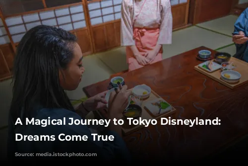 A Magical Journey to Tokyo Disneyland: Where Dreams Come True