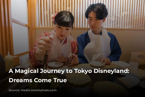 A Magical Journey to Tokyo Disneyland: Where Dreams Come True