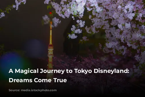 A Magical Journey to Tokyo Disneyland: Where Dreams Come True