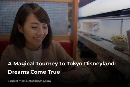 A Magical Journey to Tokyo Disneyland: Where Dreams Come True