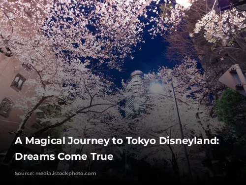 A Magical Journey to Tokyo Disneyland: Where Dreams Come True