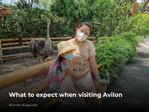 What to expect when visiting Avilon Zoo